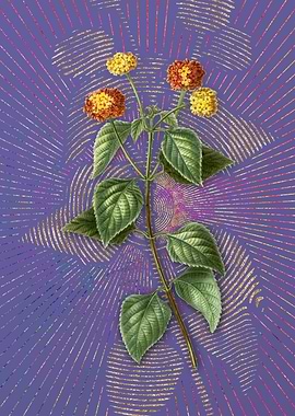 Violet Vintage Tickberry