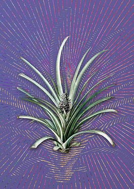 Violet Vintage Pineapple