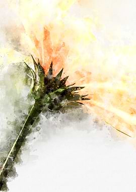 Abstract yellow Calendula