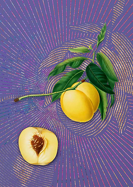 Yellow Apricot 2 Flora