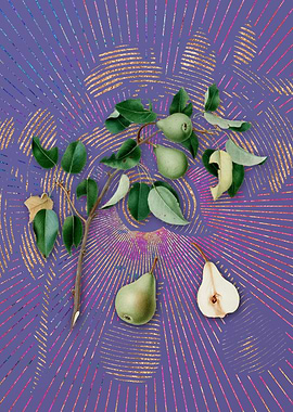 Violet Vintage Pear 3