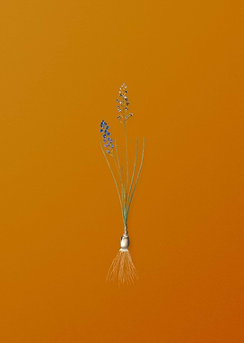 Vintage Autumn Squill