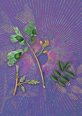 Violet Vintage Pistachio