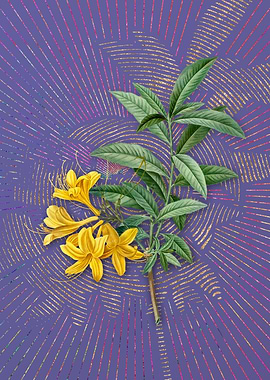 Vintage Yellow Azalea