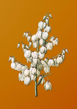 Vintage Aloe Yucca Flower