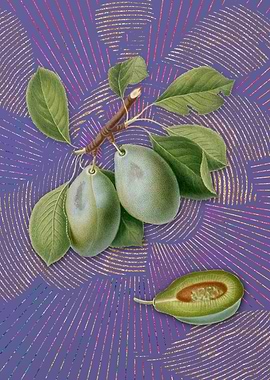 Violet Vintage Plum 3