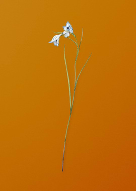 Vintage Blue Pipe Flower