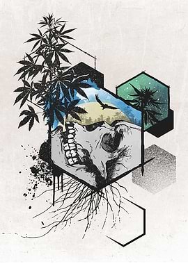 Weed Skull Hexagon