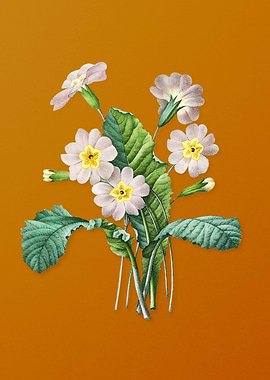 Vintage Grandiflora Flower