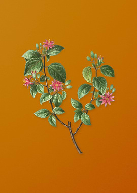 Vintage Crossberry Flower