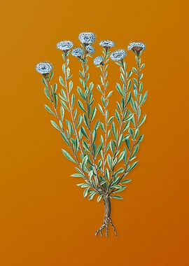 Vintage Globe Daisies