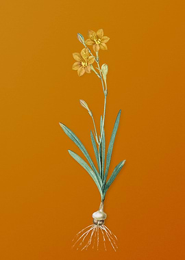 Vintage Coppertips Flower