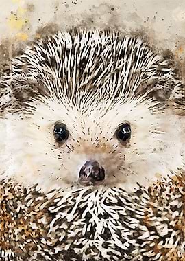 Porcupine Watercolor art