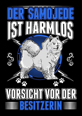 Samojede Besitzerin Schlit