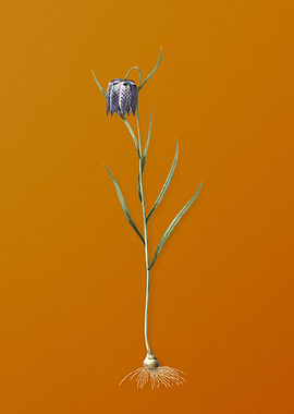 Vintage Chess Flower