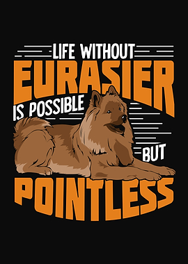 Eurasier Eurasian Dog