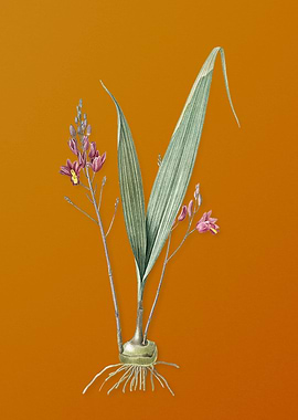 Vintage Pine Pink Flower