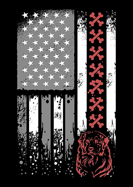 Australian Shepherd Aussie