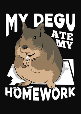 My Degu Ate My Homework