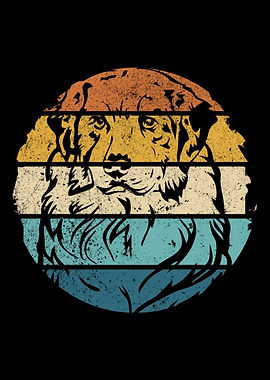 Retro Australian Shepherd