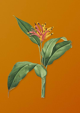 Vintage Lobster Claws