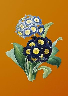 Vintage Mountain Cowslip