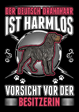 Deutsch Drahthaar Besitzer