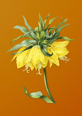 Vintage Kaisers Crown