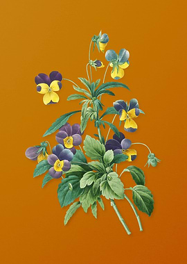 Vintage Johnny Jump Up