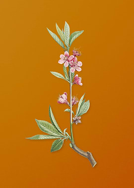 Vintage Pink Flower Branch