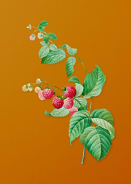 Vintage Red Berries Flower