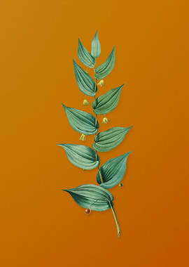 Vintage Twistedstalk