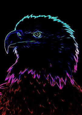 Colorful Eagle