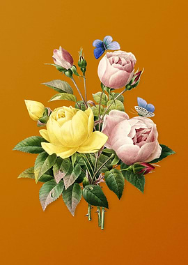 Vintage Variety of Roses