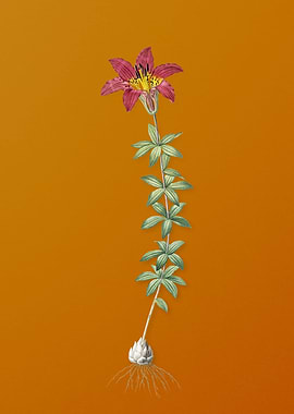 Vintage Wood Lily Flower
