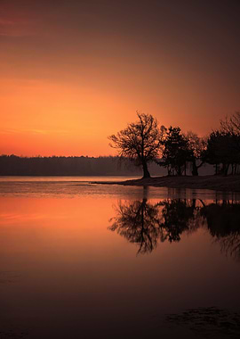 Winter morning in the park