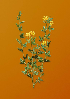 Yellow Jasmine Flowers