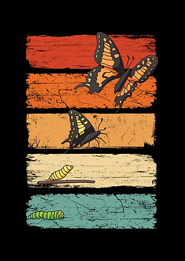 Butterfly Colorful Wings