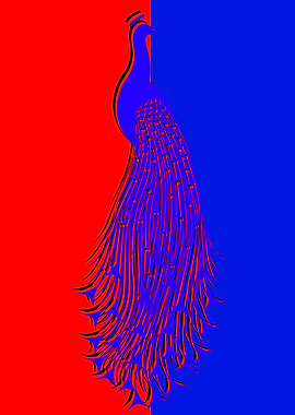 Peacock Design 3D