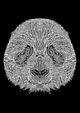 Black and White Panda
