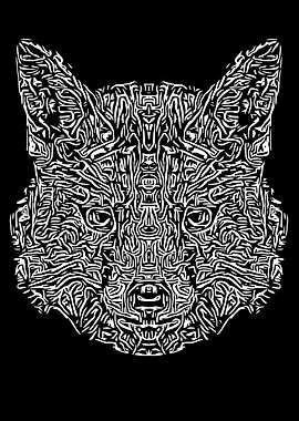 Black and White Fox