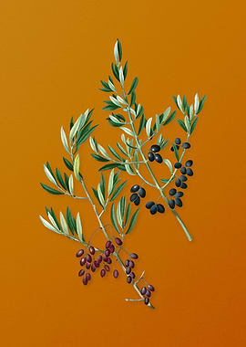 Vintage Wild Olive Fruit