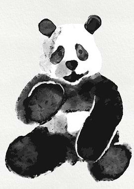 Cute Animal Kids Panda