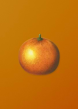 Vintage Orange Fruit