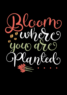 Bloom where you are