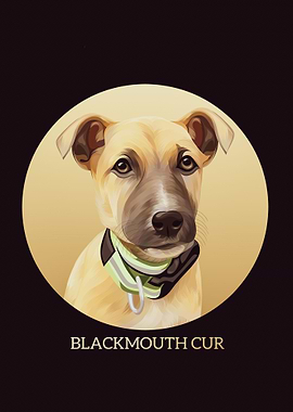 Blackmouth Cur
