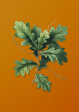 Vintage English Oak Plant