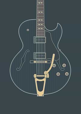 Hollow Body Guitar