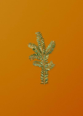 Vintage English Yew Branch