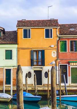 housesspecialbeautyleng